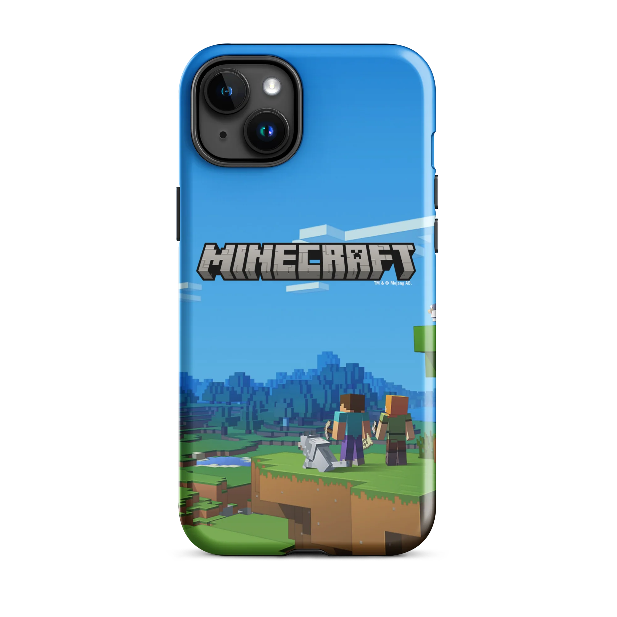 Thumbnail 11