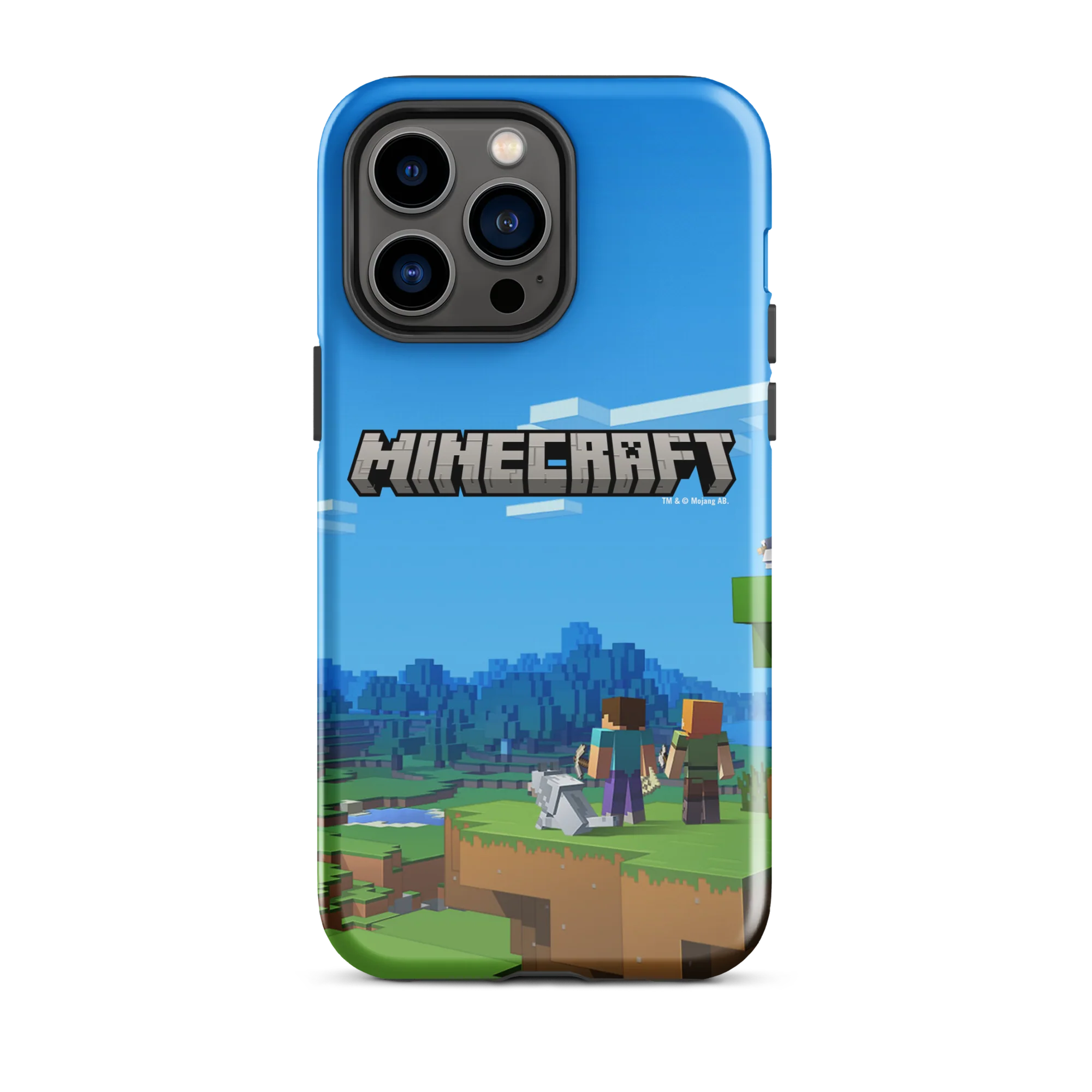 Thumbnail 17