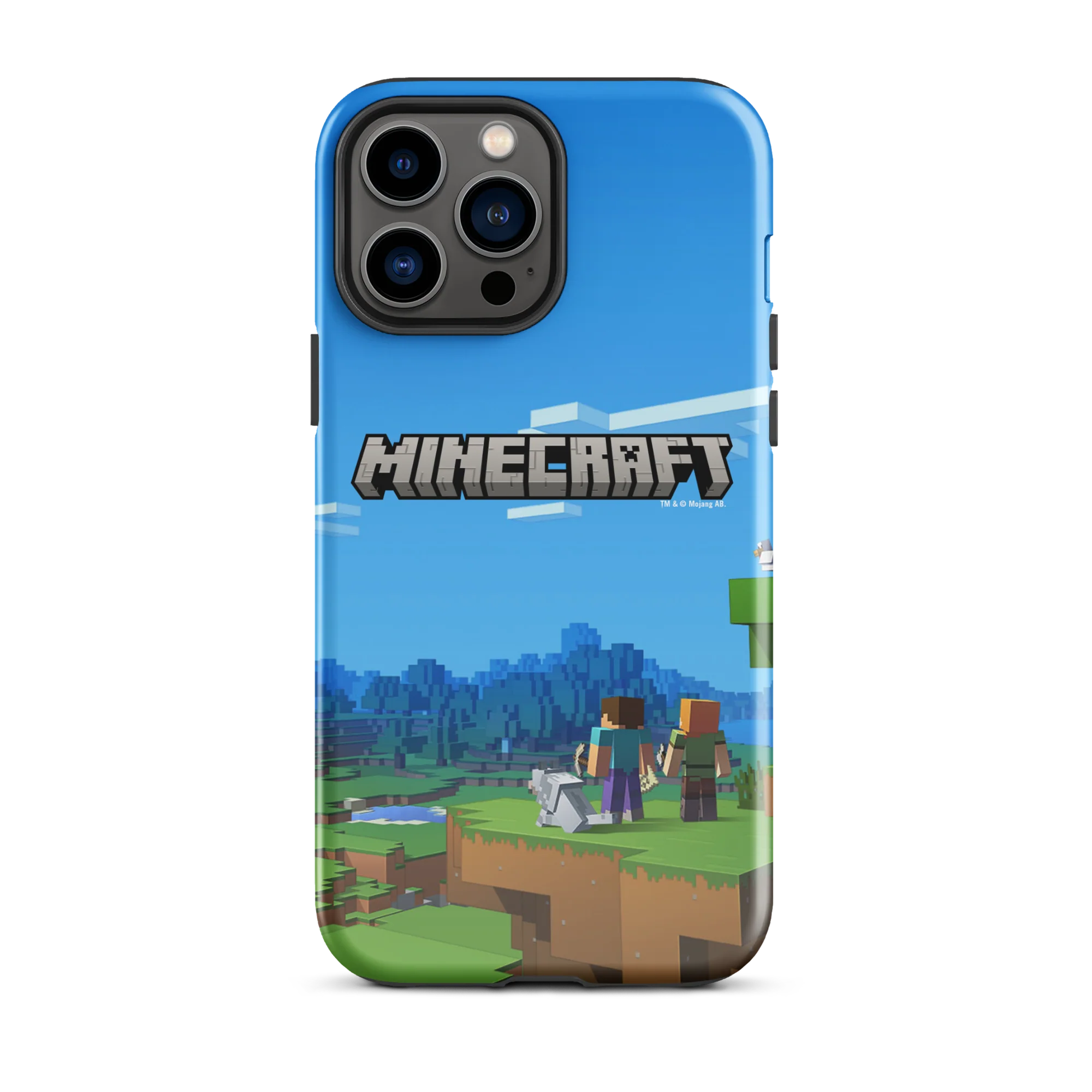 Thumbnail 29