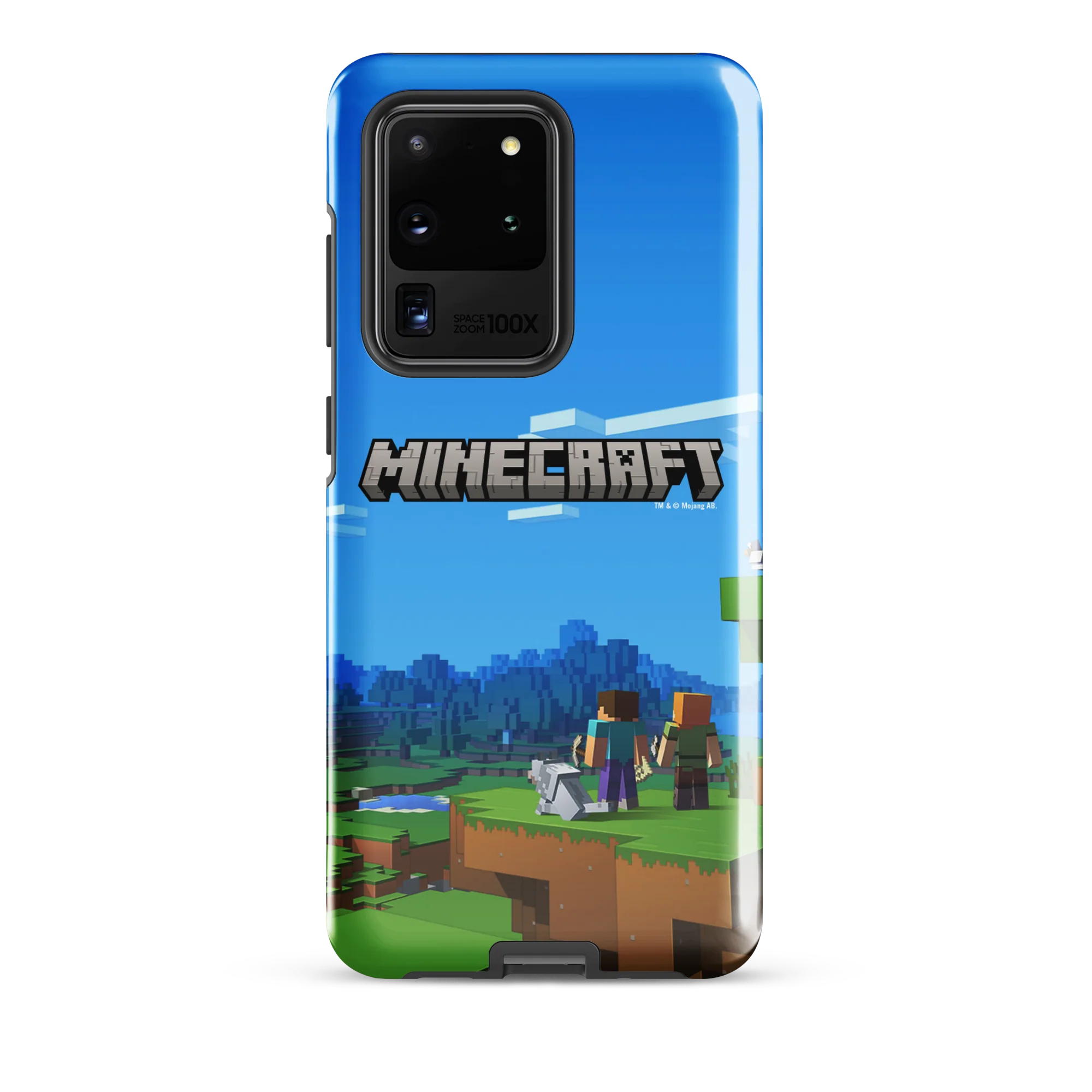 Thumbnail 10