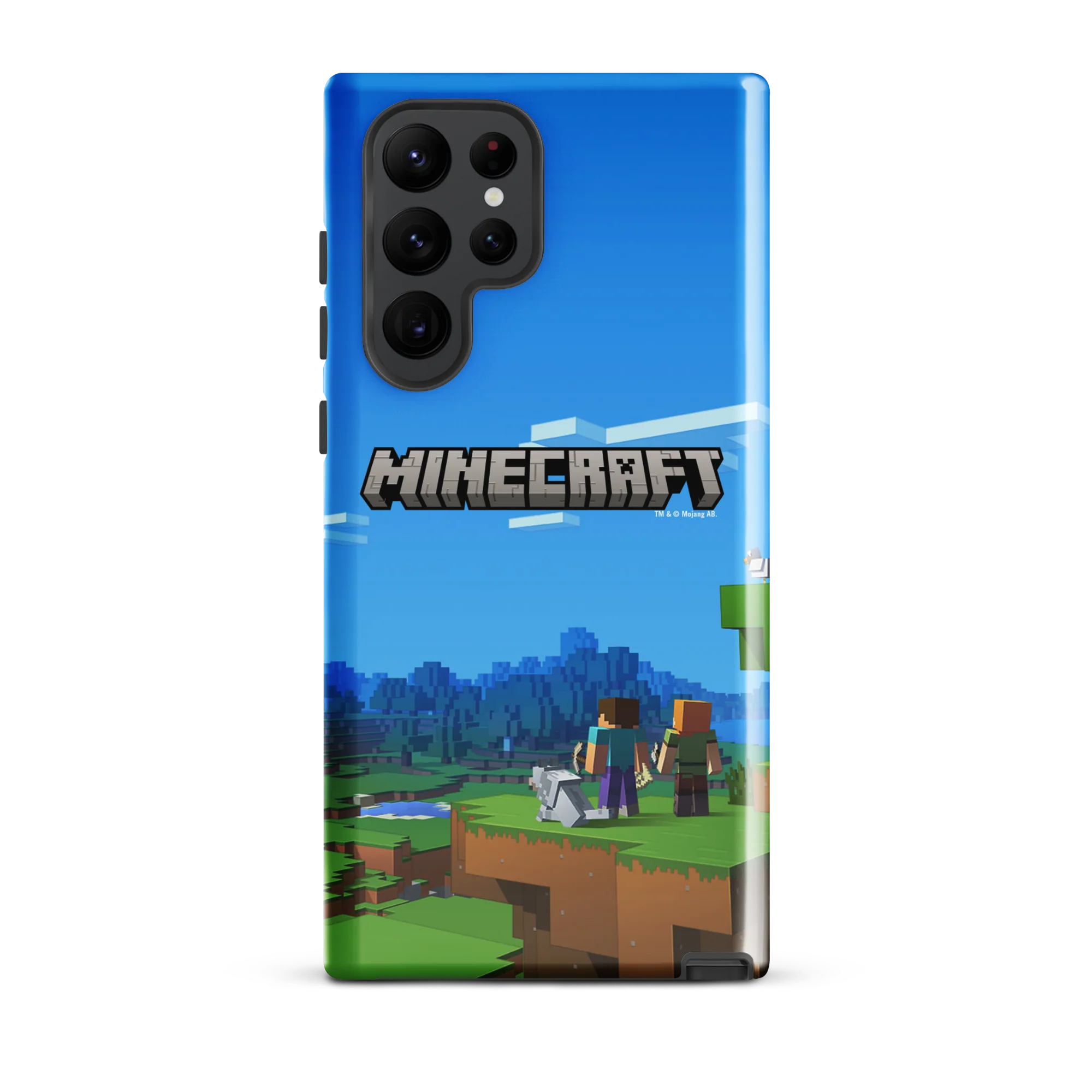 Thumbnail 31